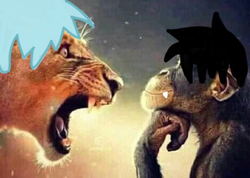 sophie ᢉ𐭩 tweet media