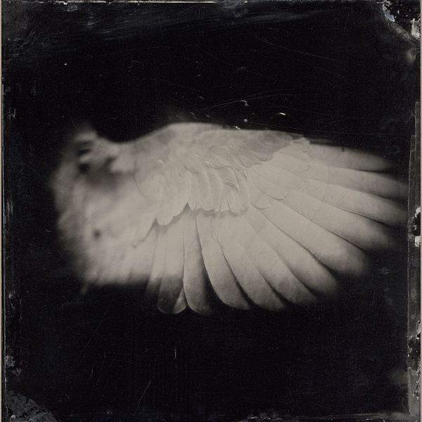 Black. (@blackdreamvibes) on Twitter photo 
