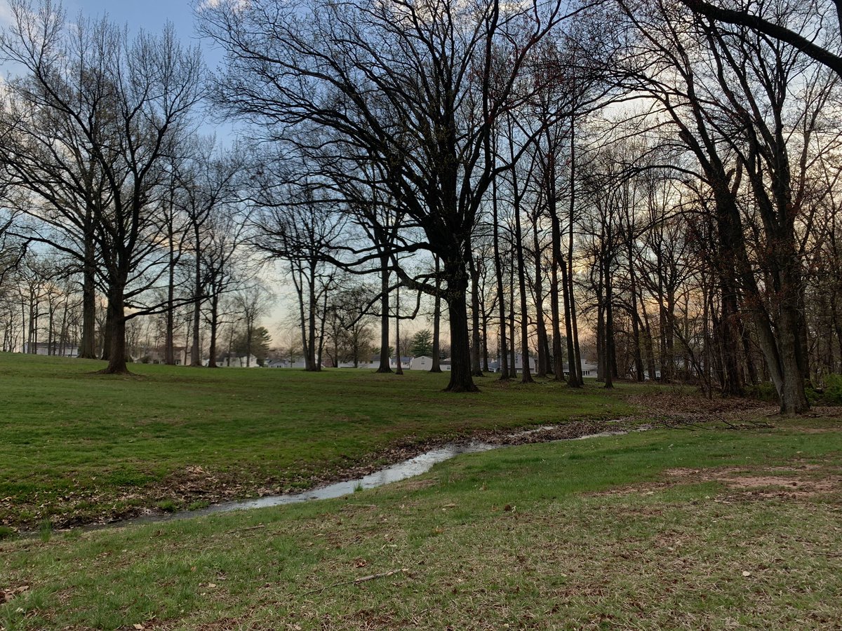 pixel ✧ tweet media