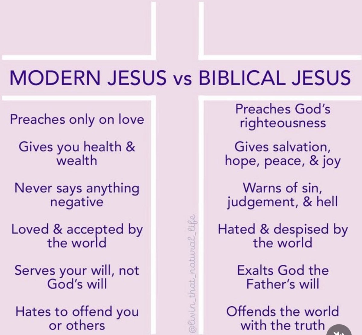 Nellie Wilson tweet media