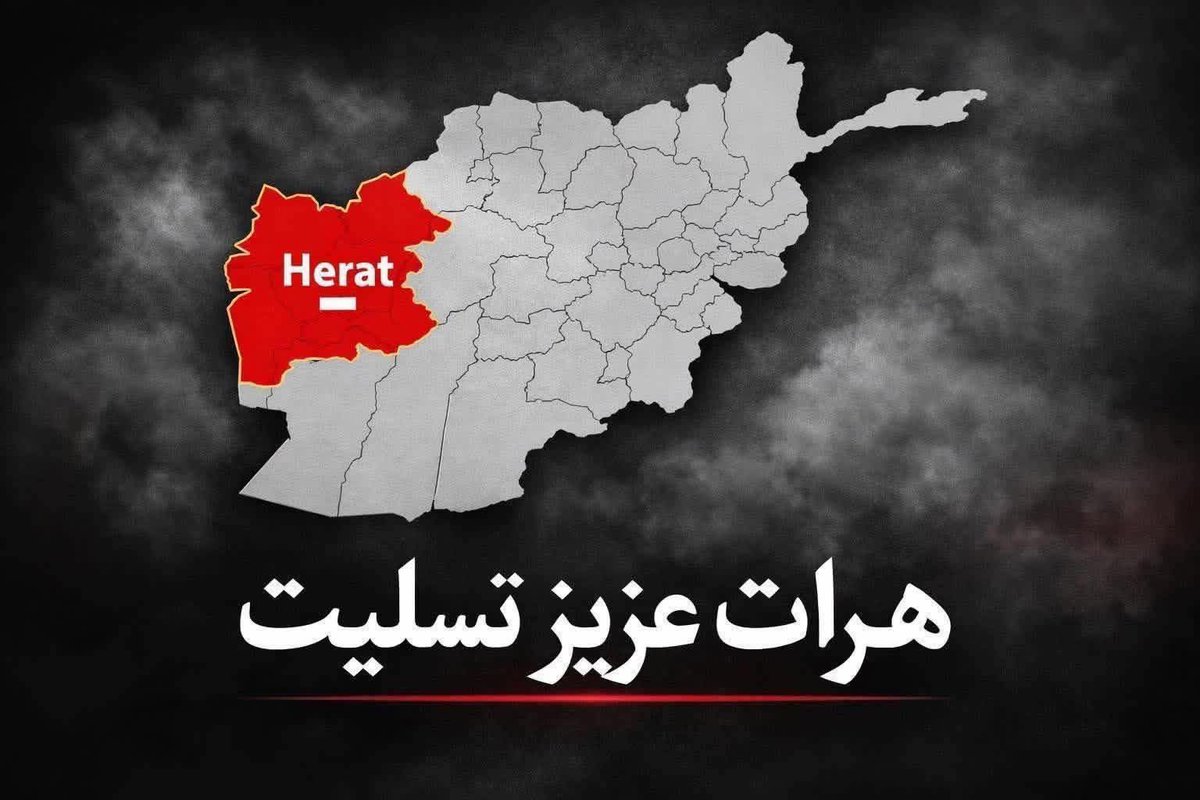 پویا tweet media