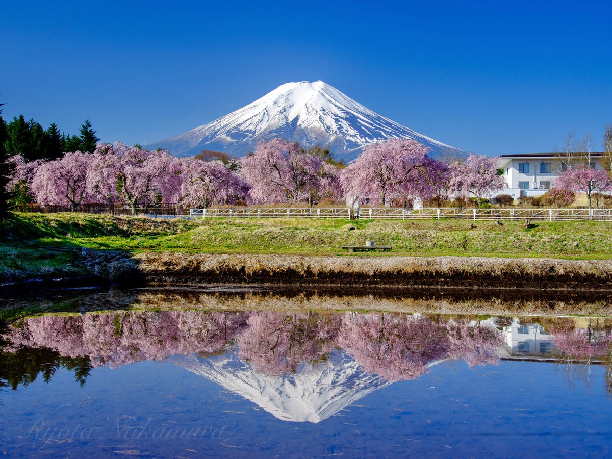 Ryota@富士山写真家 tweet media