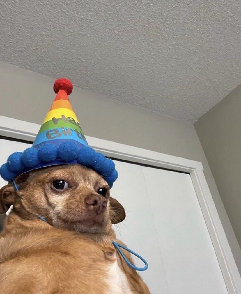 Emmanuel Alao tweet media