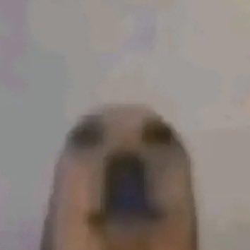 Denis ꣑ৎ‎ tweet media