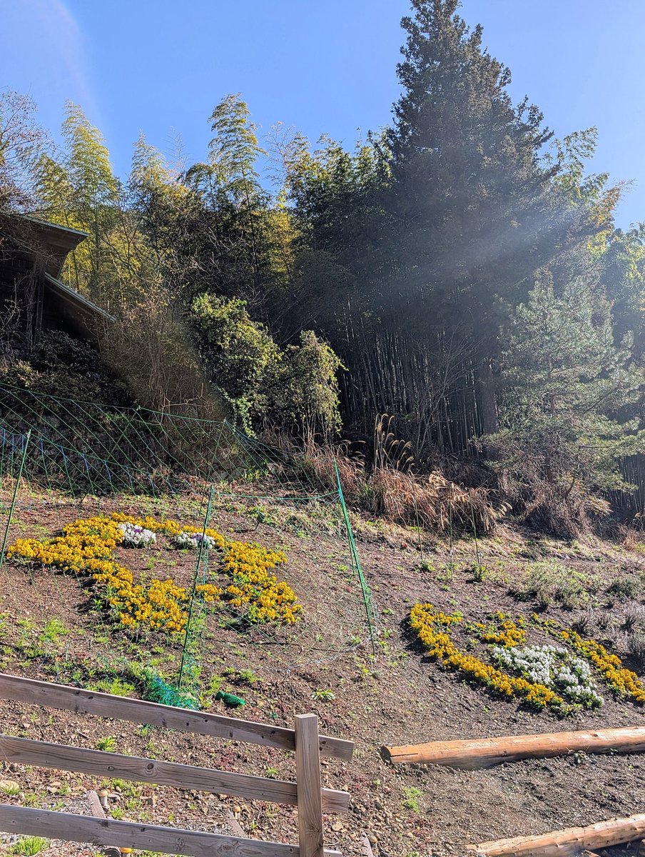 802katsu tweet media