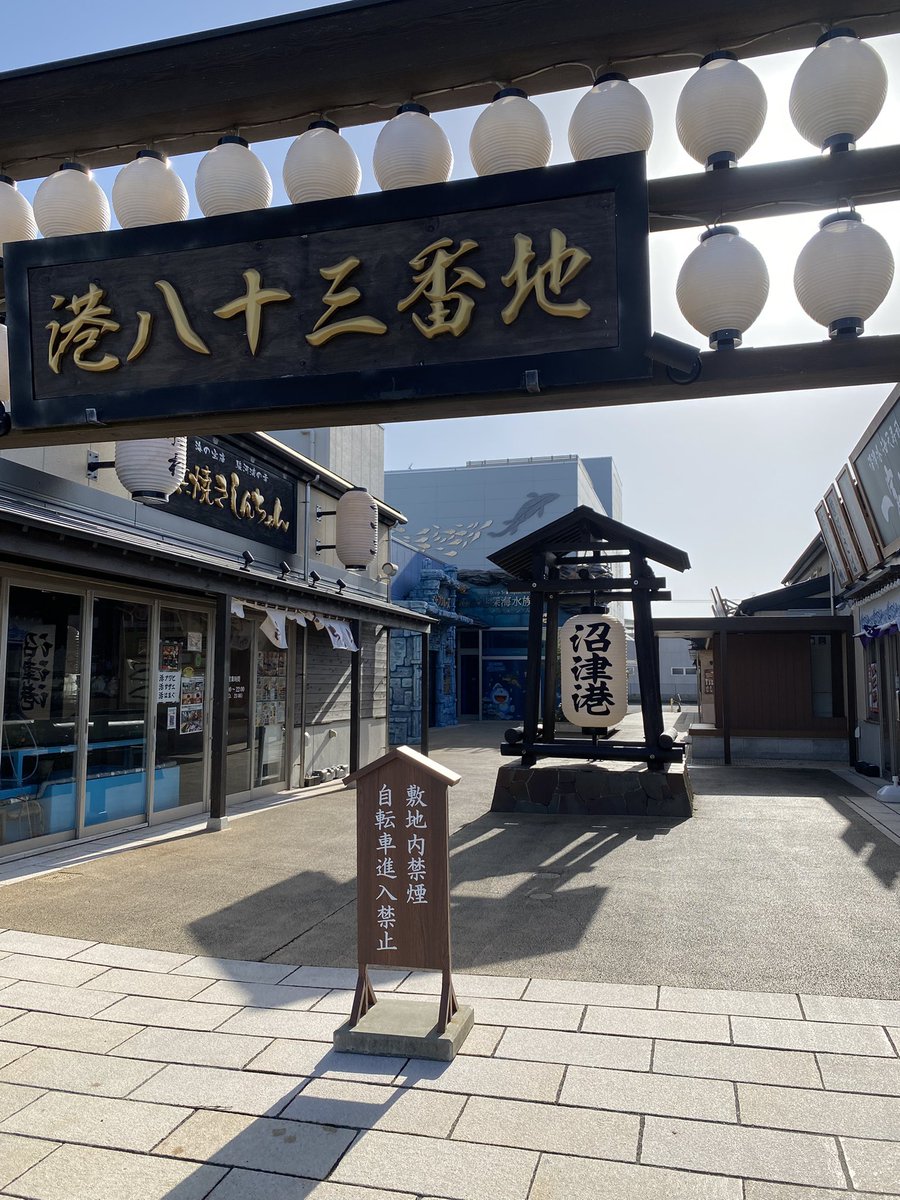 ✈︎きゅが🐬 tweet media