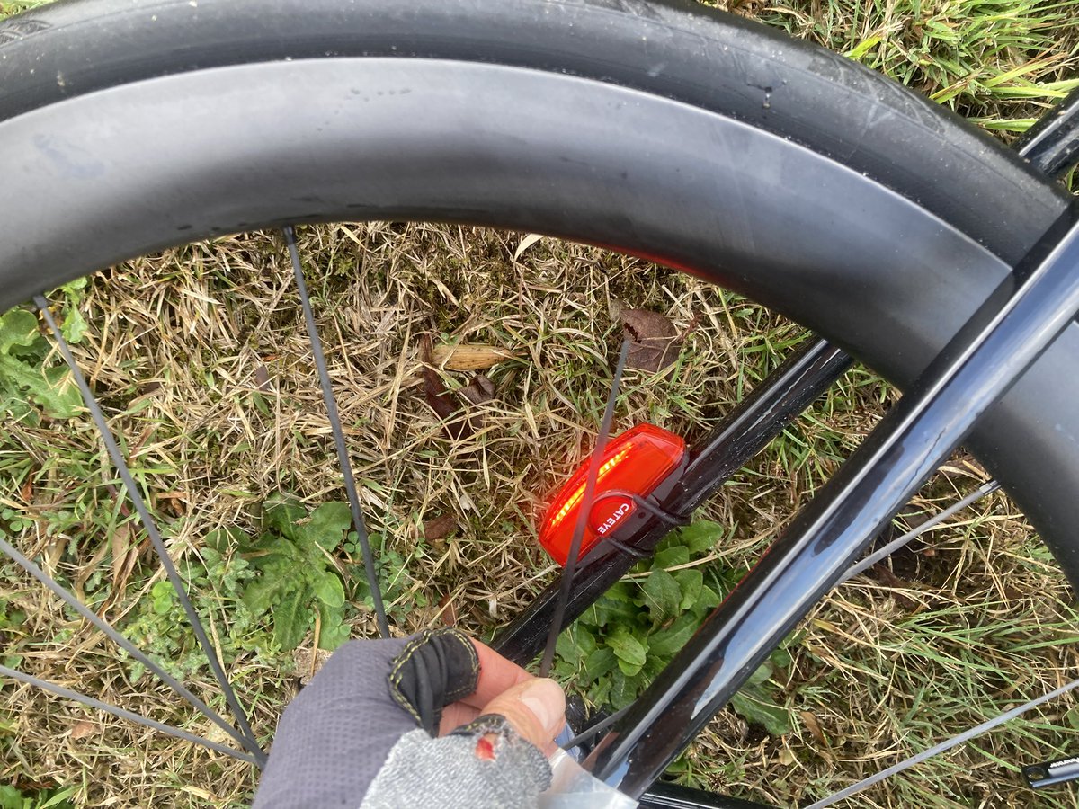 コーヤマ🍚 tweet media