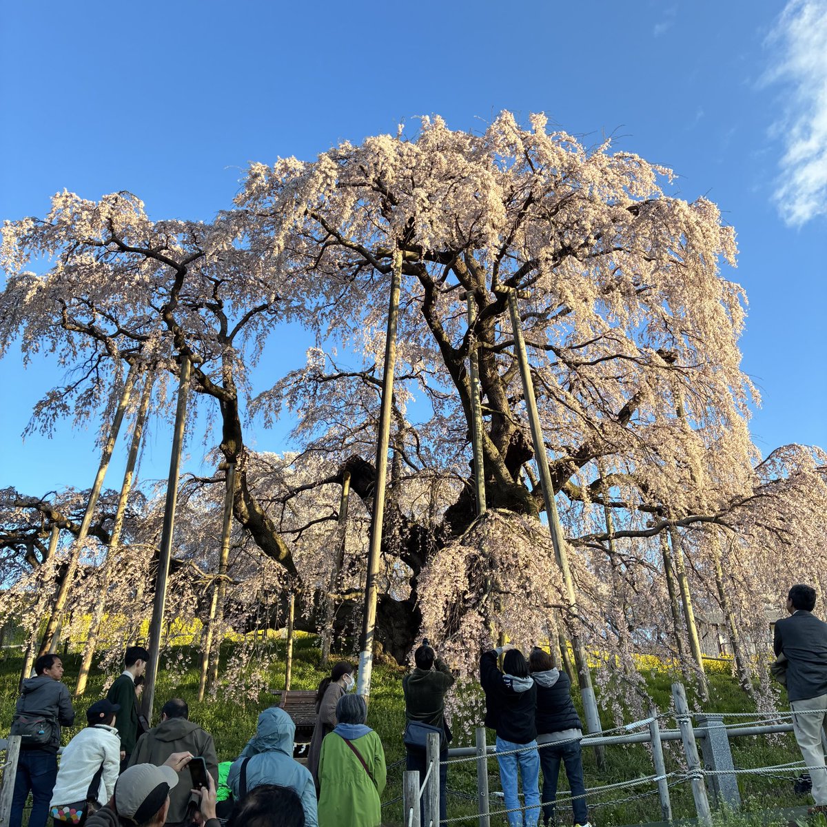 sʎıqɐ tweet media