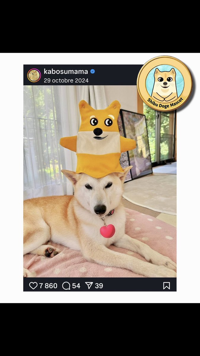 Vara 💎 tweet media