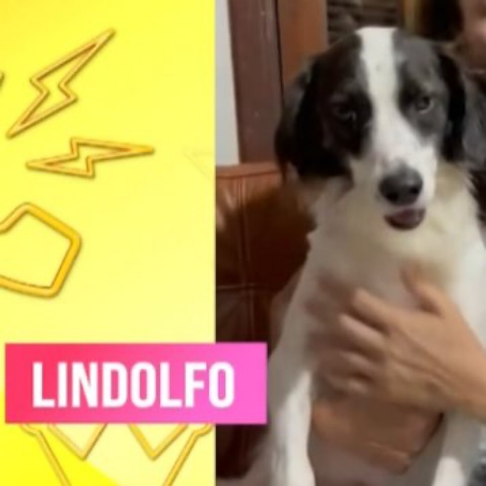 a paixão segundo t.h. tweet media