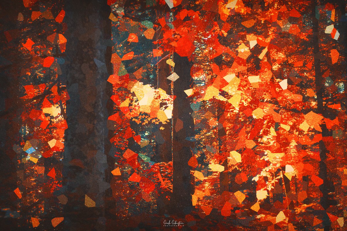 Valgone_photo's tweet image. Montrez votre photographie créative, graphique ou abstraite!
Showcase your creative, graphic, or abstract photography!
#phtographyIsArt #abstract