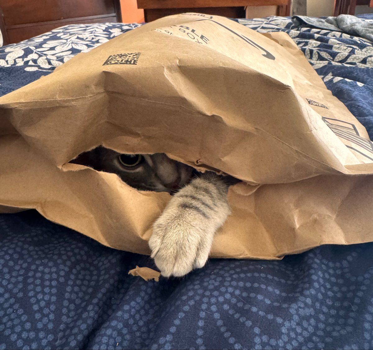 J.R. Holmsted tweet media