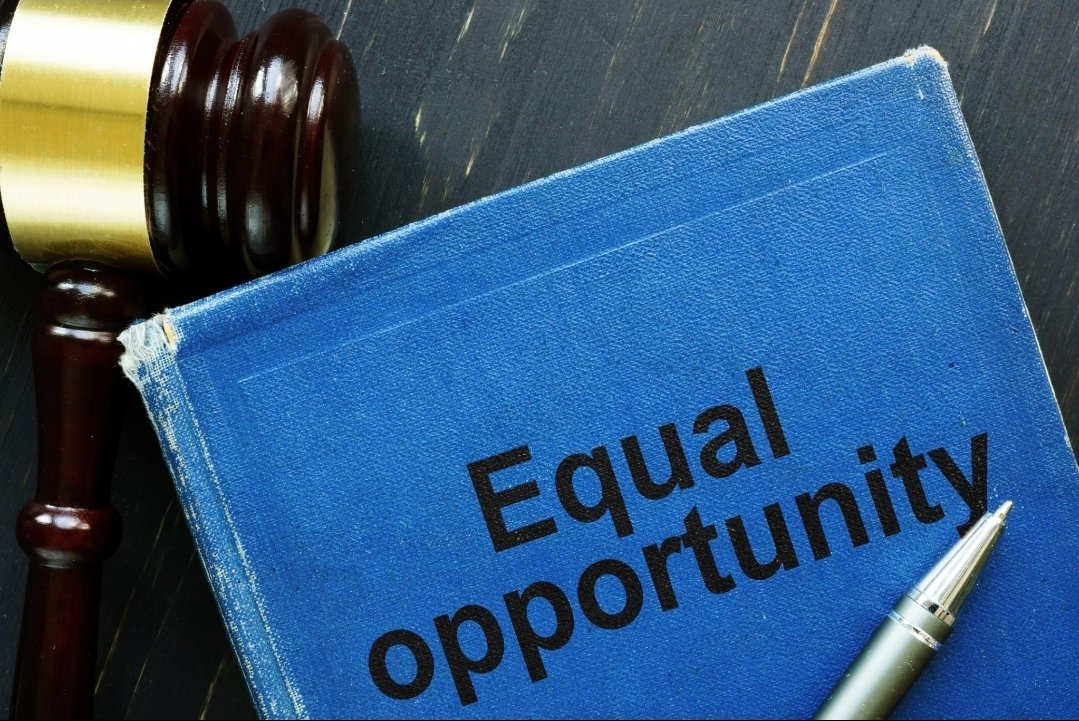 Rewan Elkfass tweet media