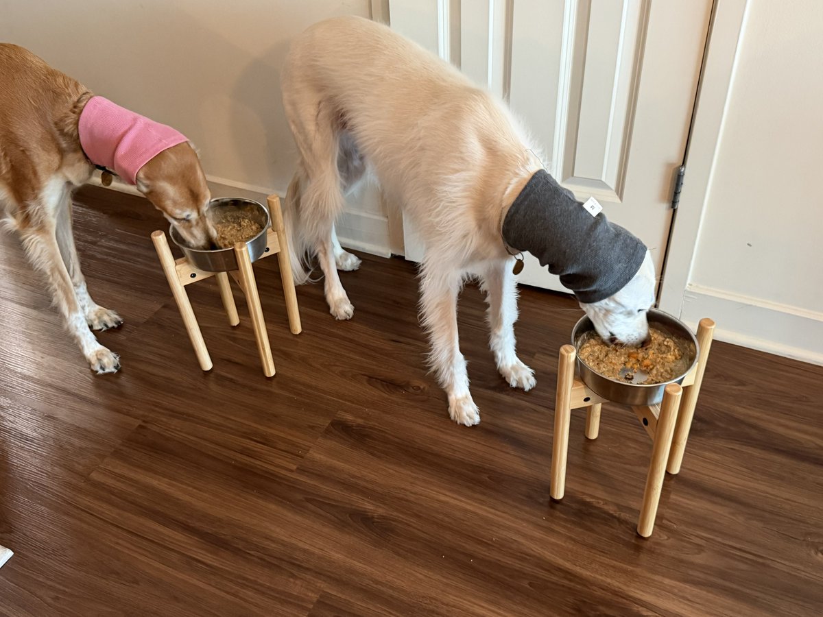 grïngx🇺🇦pendej̈x tweet media