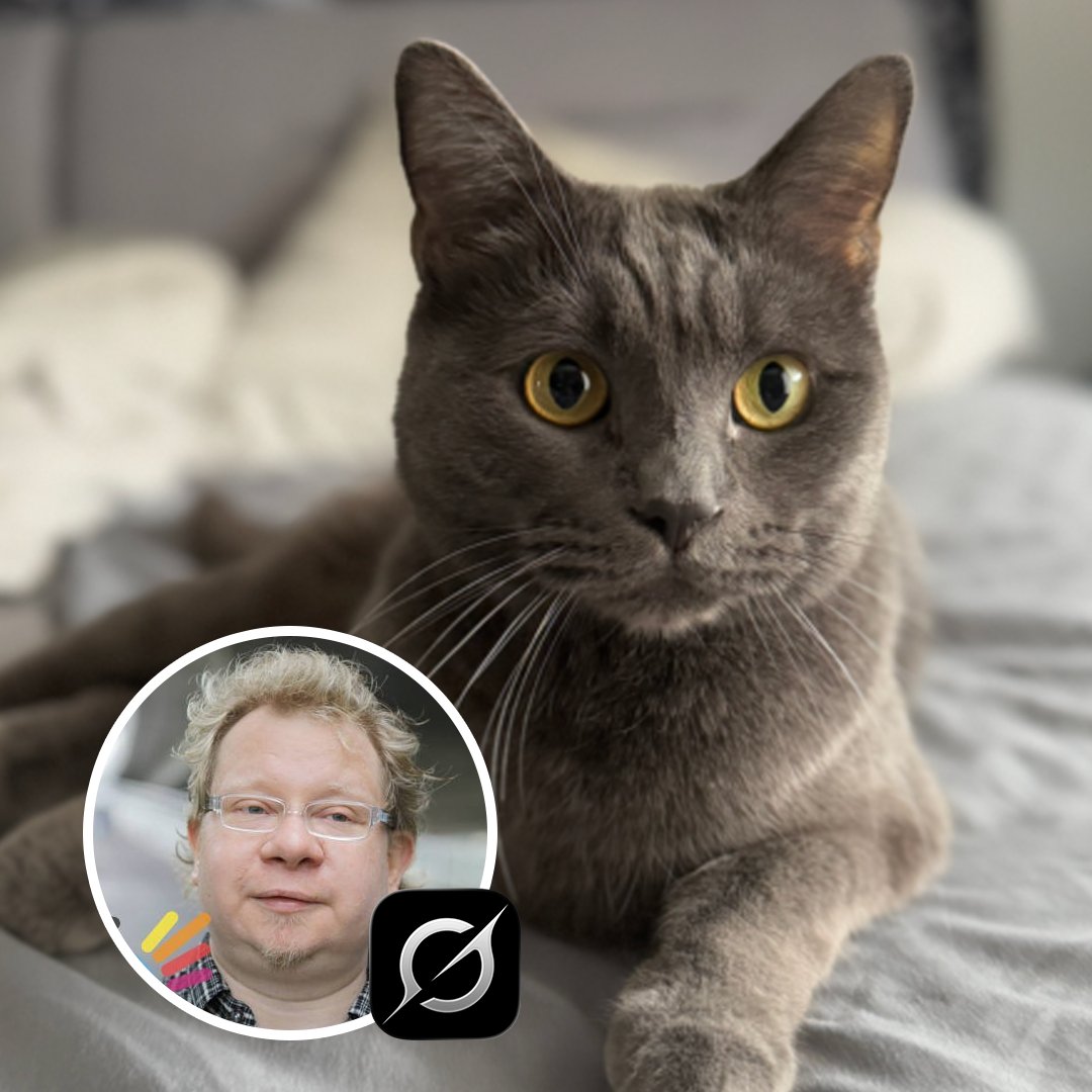 cb_doge's tweet image. BREAKING: Grok saved another life. This time, a cat from Frankfurt. ♥️

A Frankfurt Photographer, Lars Maier credits Grok for saving his cat, Moritz’s life during an overnight diabetic ketoacidosis crisis.

Grok instantly recognized the symptoms and told him: “RUSH to the 24h vet