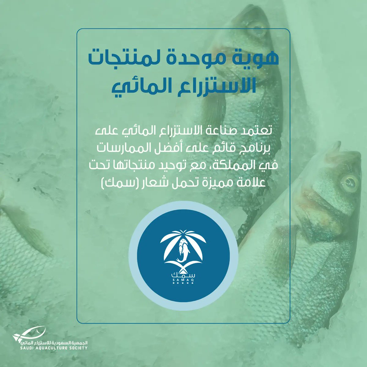 SAS_Aquaculture's tweet photo. علامة الجودة #سمك https://t.co/DvVBpGavWz