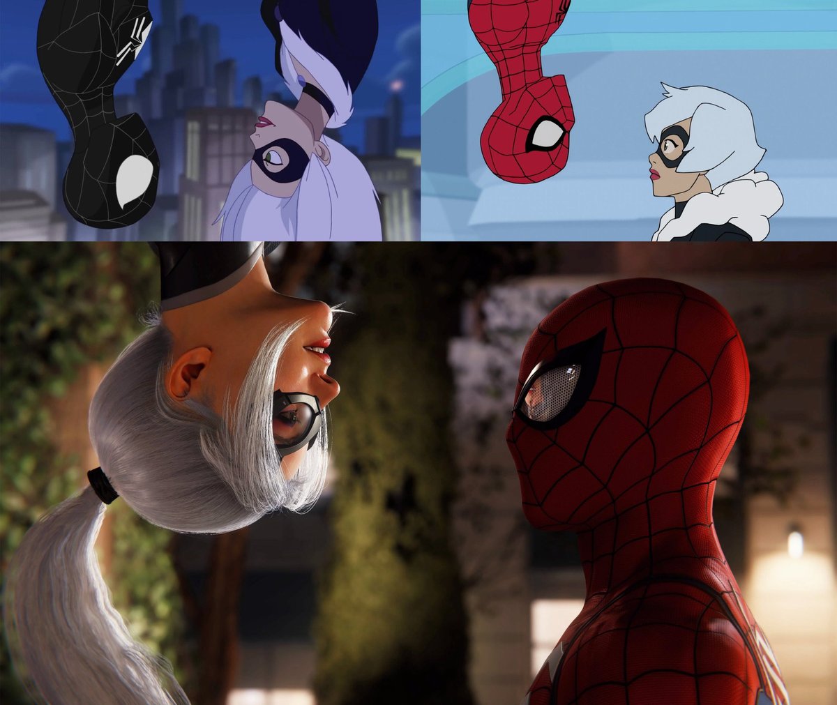 Best of Black Cat tweet media