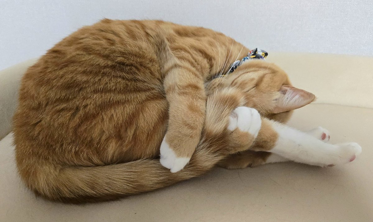 OrangeFox tweet media