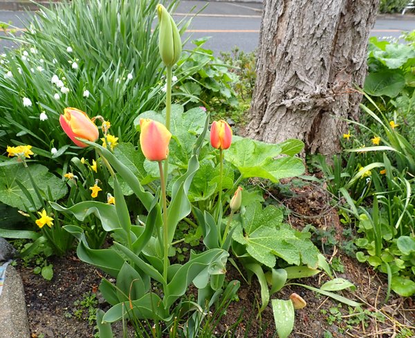 インテリア雑貨のキャリコ tweet media