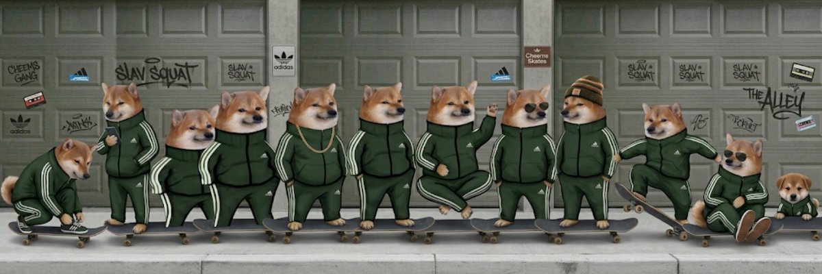 patch tweet media