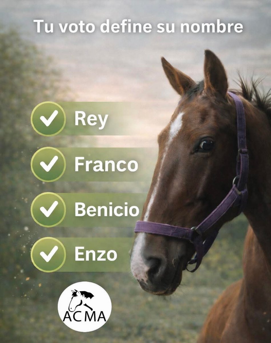 ACMA CABALLOS tweet media