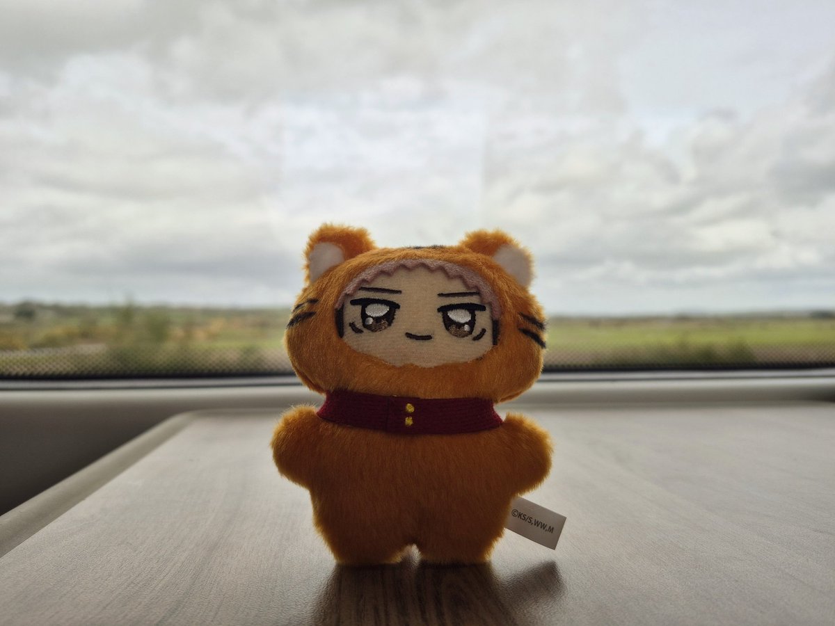 Draeci 🐾 tweet media