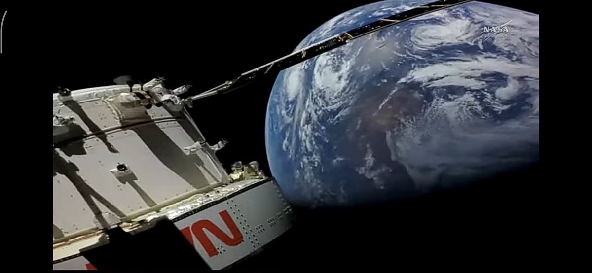 Simp for Dr. Xeno & Stan | in my DCST era AGAIN tweet media