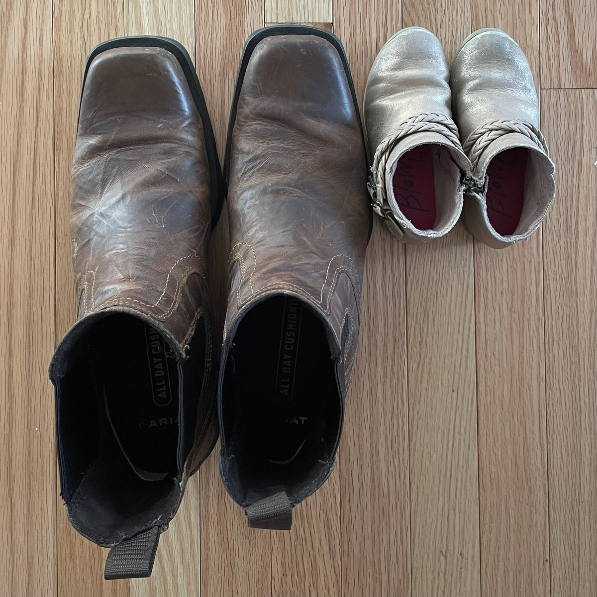 Buzzy Gran tweet media