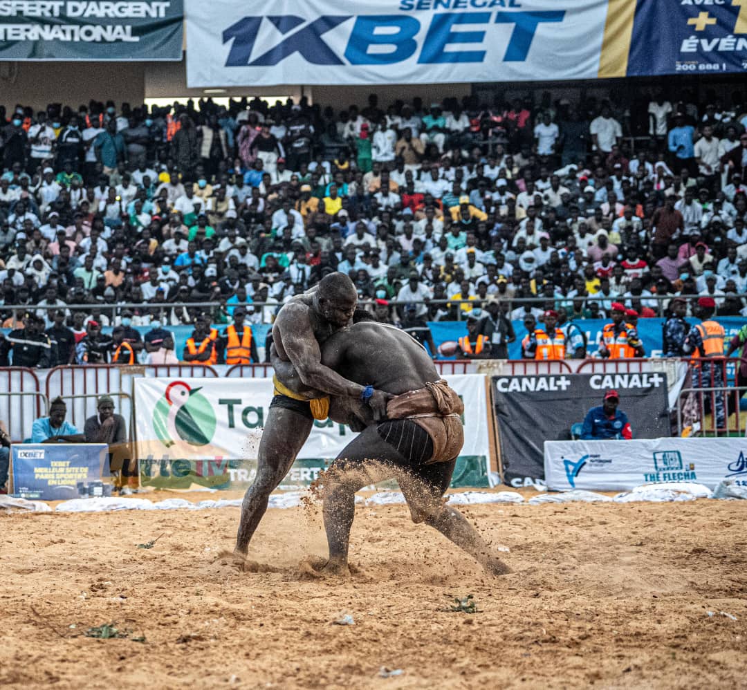 Iba KANE Sunu Lamb tweet media