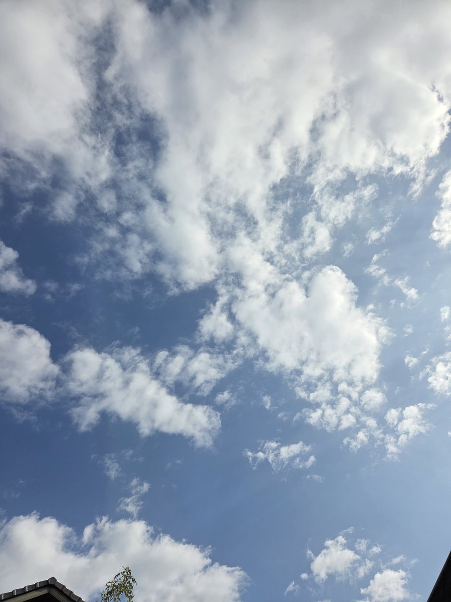 ちょーちゃん tweet media