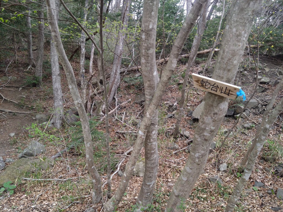 どらいせんβ tweet media