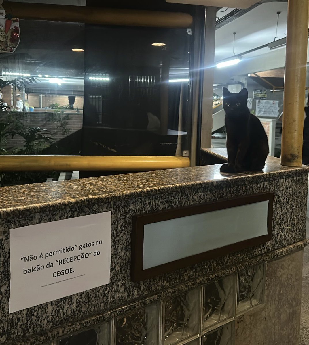 myllena🇩🇪 tweet media