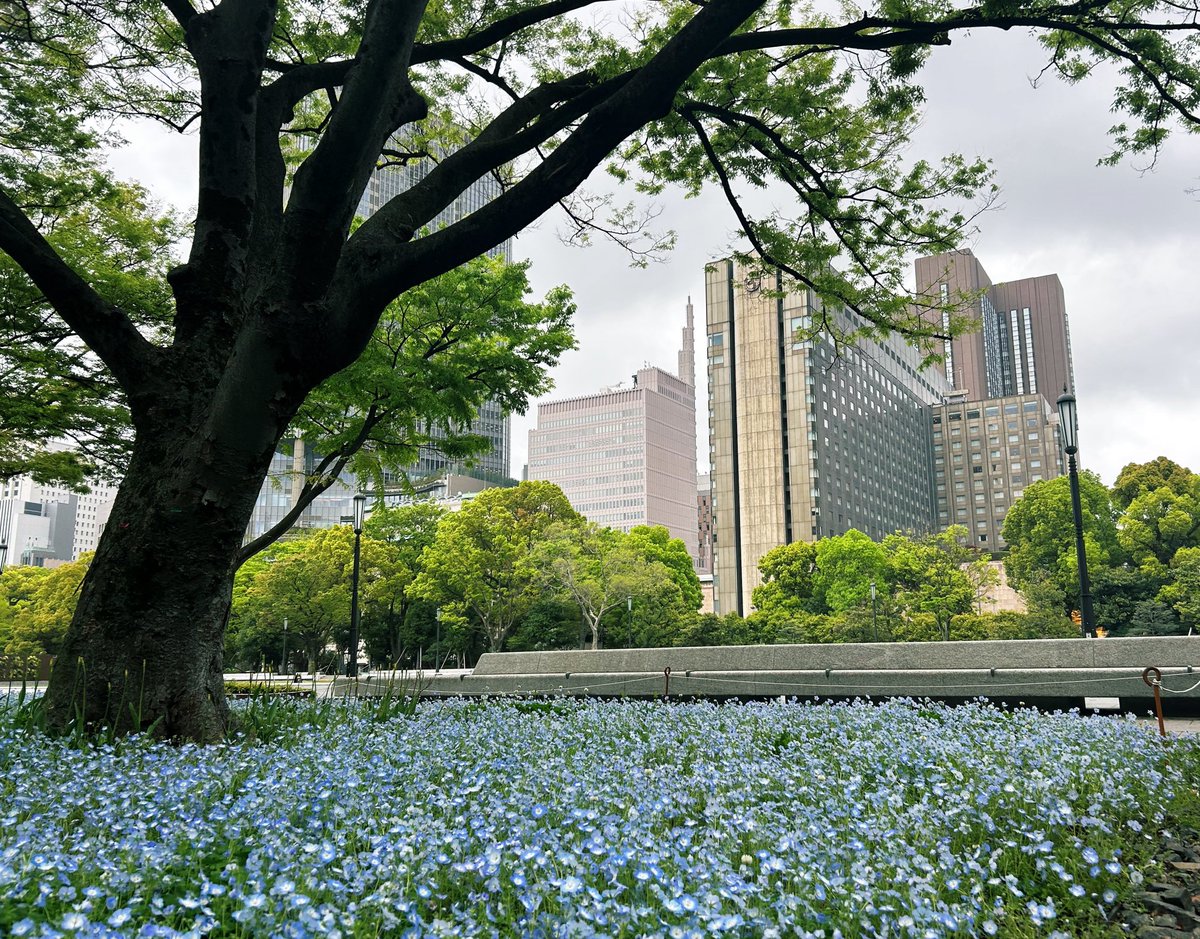 リスペコ tweet media