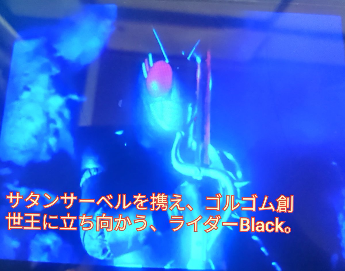 ホーリー【通称】 tweet media