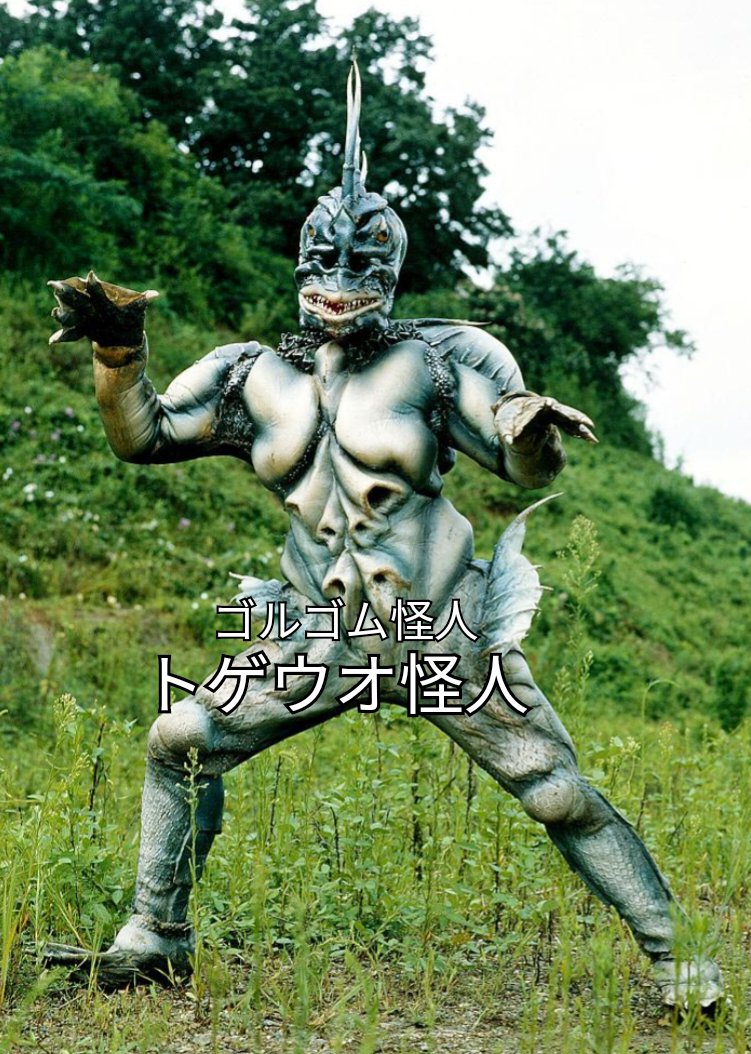 ホーリー【通称】 tweet media