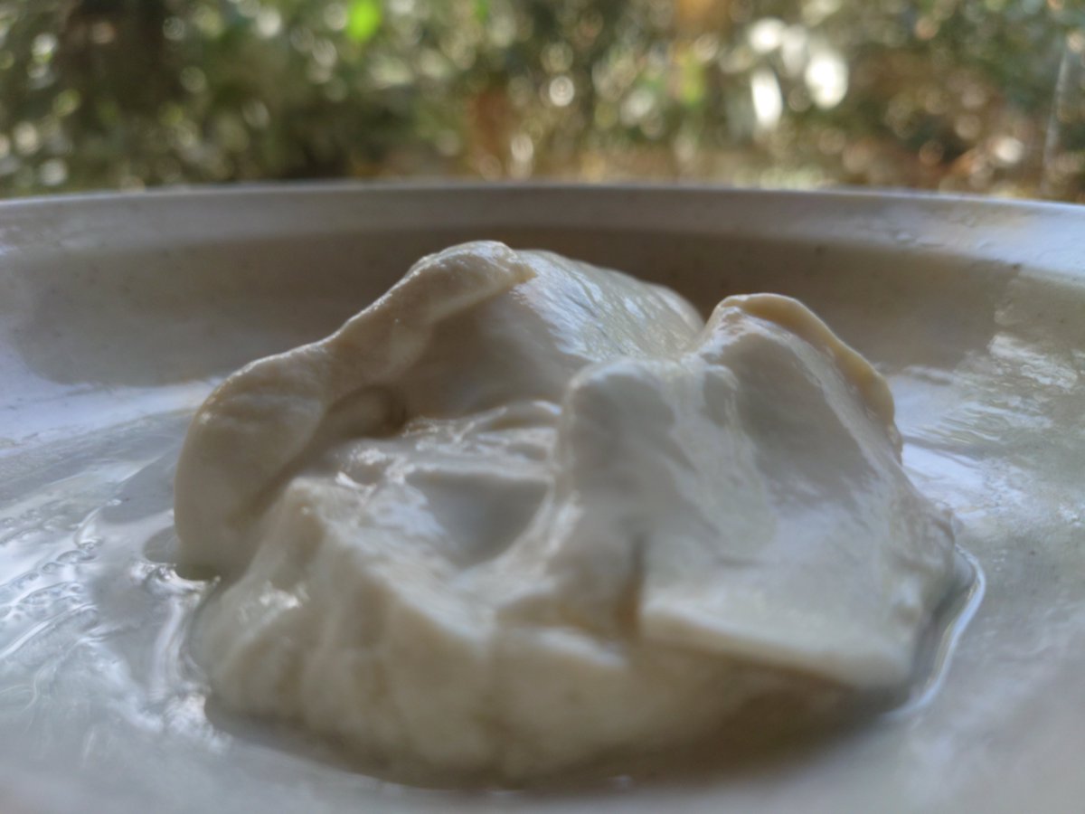 優里 𝕏 もうだめだ tweet media