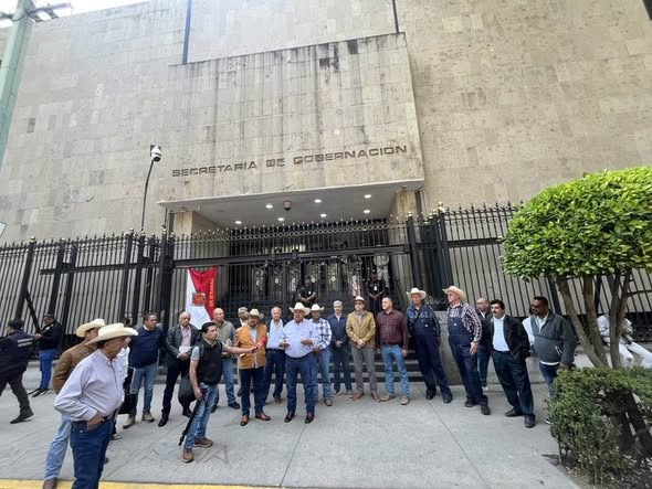 DRA. MERCEDES PAVON "SUPERMUELITA FIFÍ" tweet media