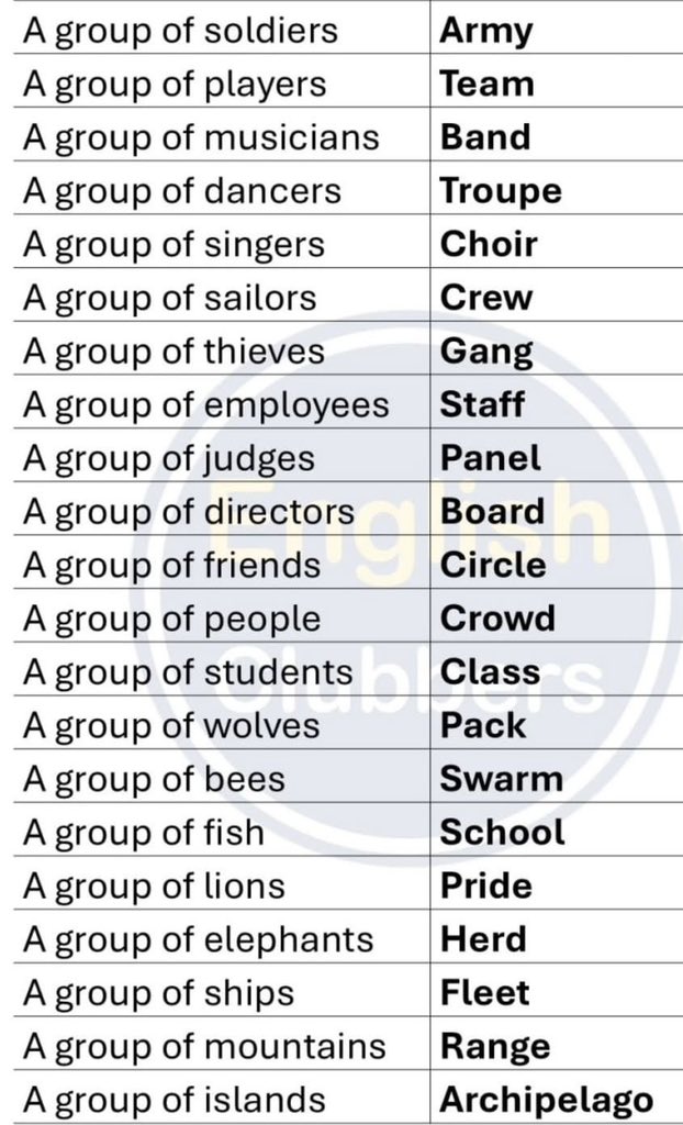 ℬ𝒶𝒷𝓎🤪🌹✨ tweet media