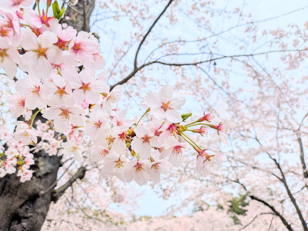 マ リ ナ tweet media