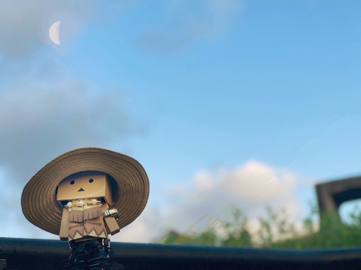 tan_tan369's tweet image. 今朝の桜🌸パトロール🚶.*⁎ .｡❀ 

地面や他の葉に舞い降りた花びらたち

白めの桜はまだ綺麗

有明の三日月も綺麗

#キリトリセカイ
#iPhoneXSMax📱 にて撮影