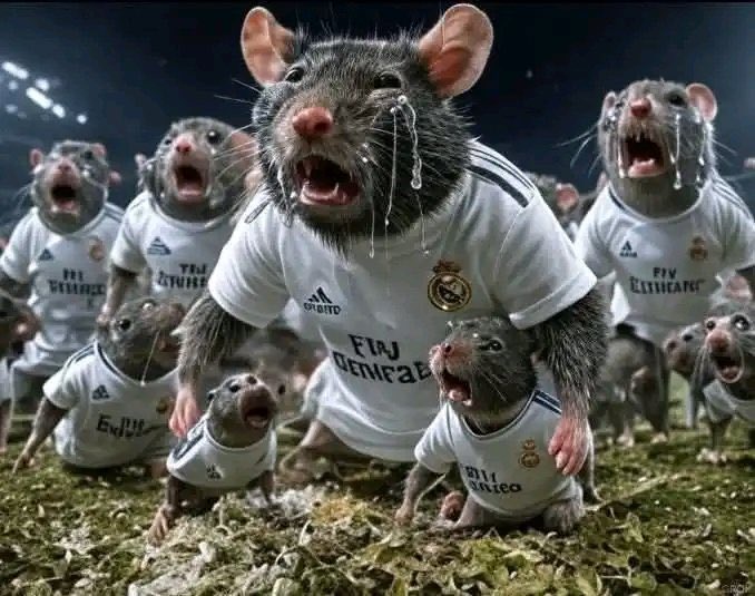 P D León tweet media