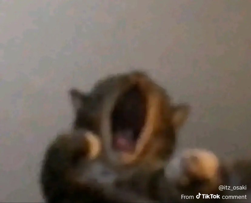 Cursed Mctua tweet media