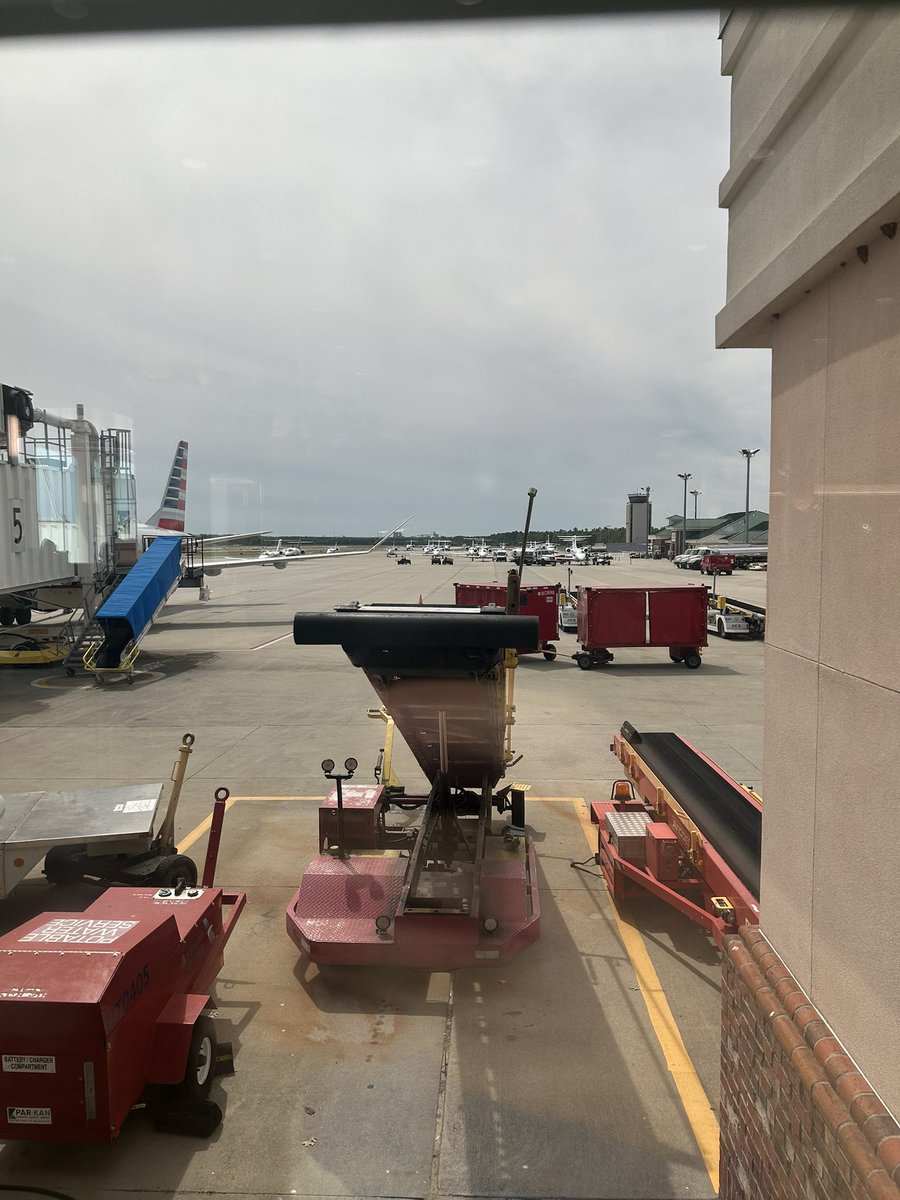 Todd ❌apes tweet media