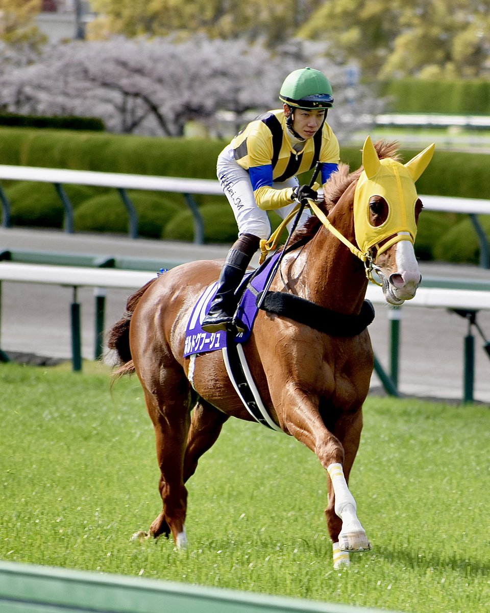 タケ坊@馬なり単走🍡 tweet media