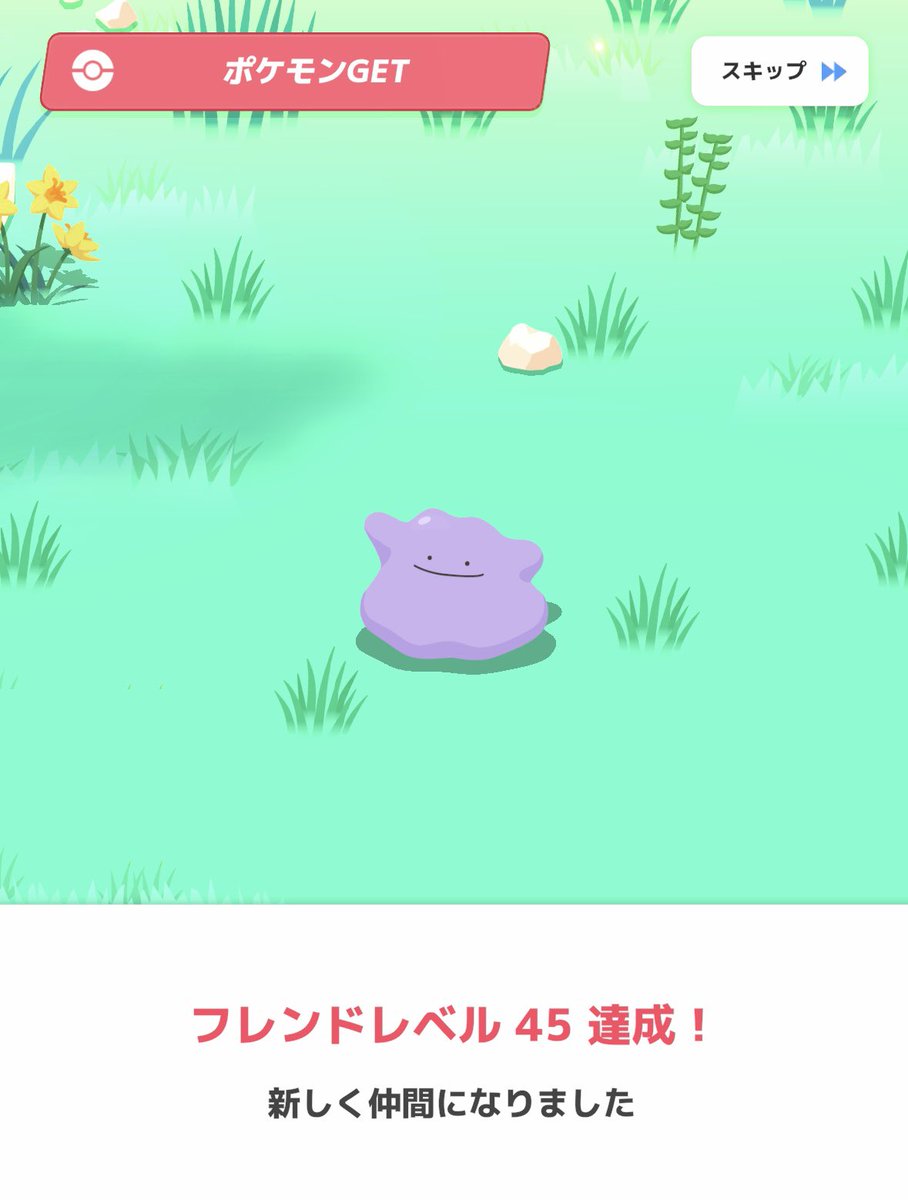 まあみとメタモン⟆͟ ˶・◡・˶ 𑁤 tweet media