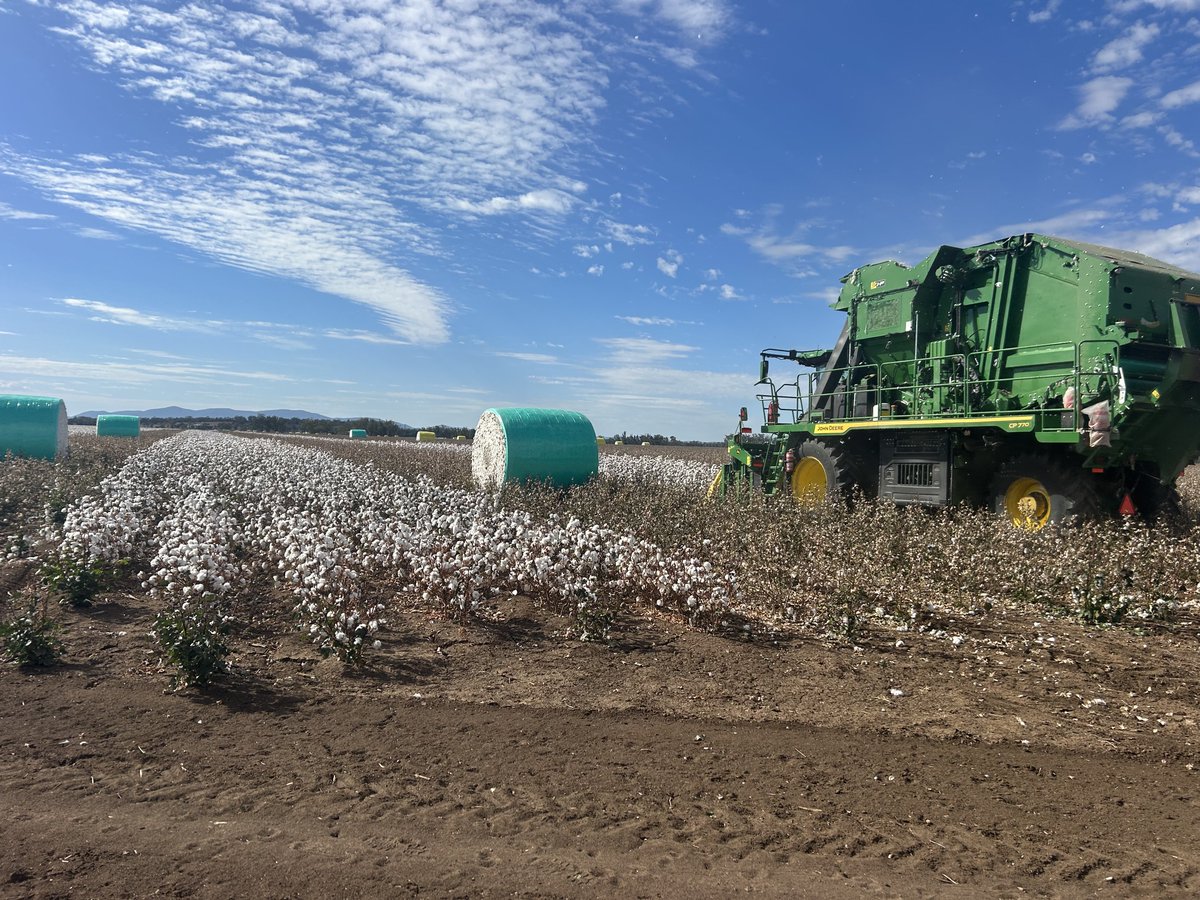 Andrew Watson tweet media