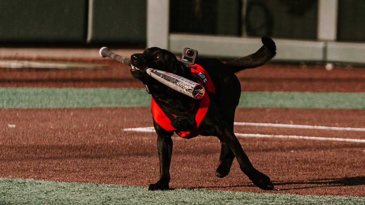 NC State Baseball tweet media