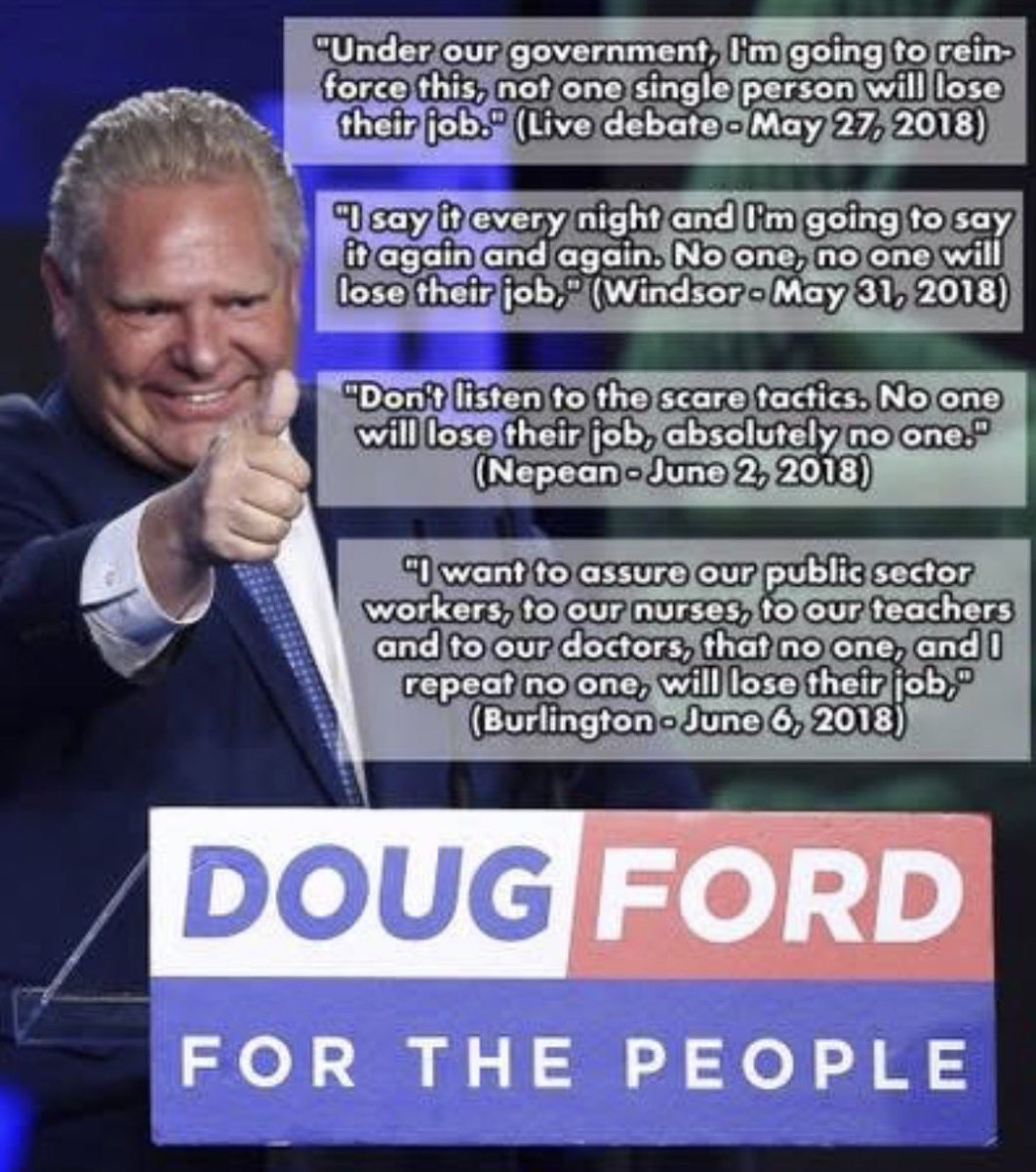 Kimiko Shibata 🦋 tweet media