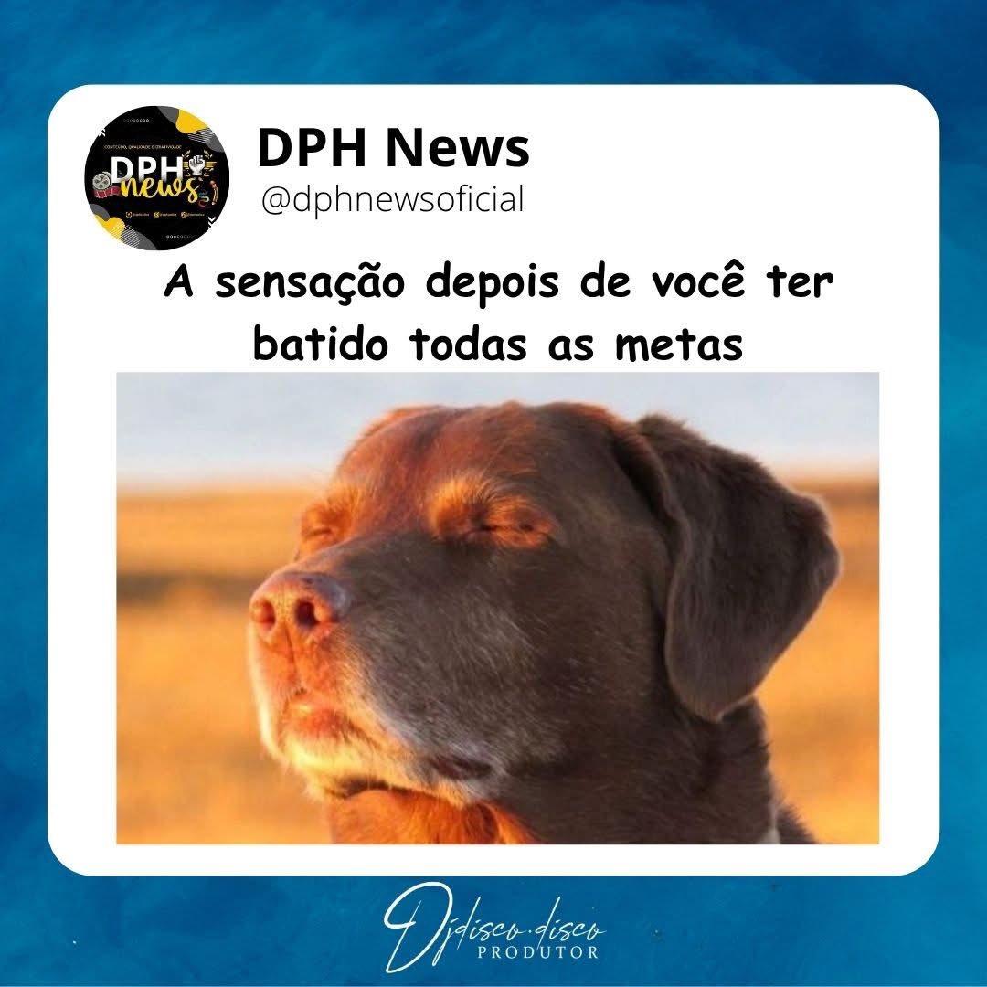 Polícia DPH tweet media