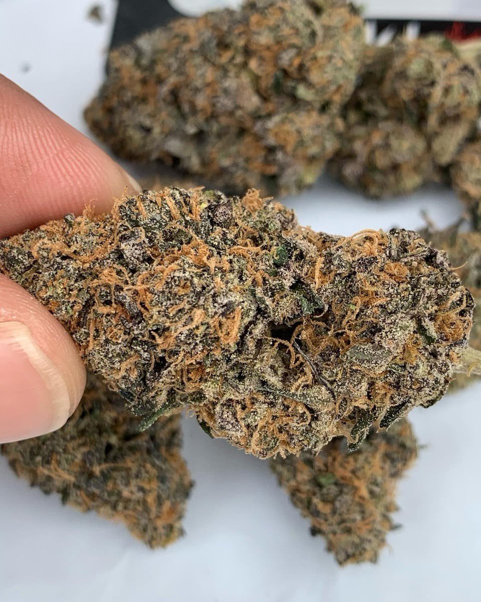 Zen Garden Weed tweet media